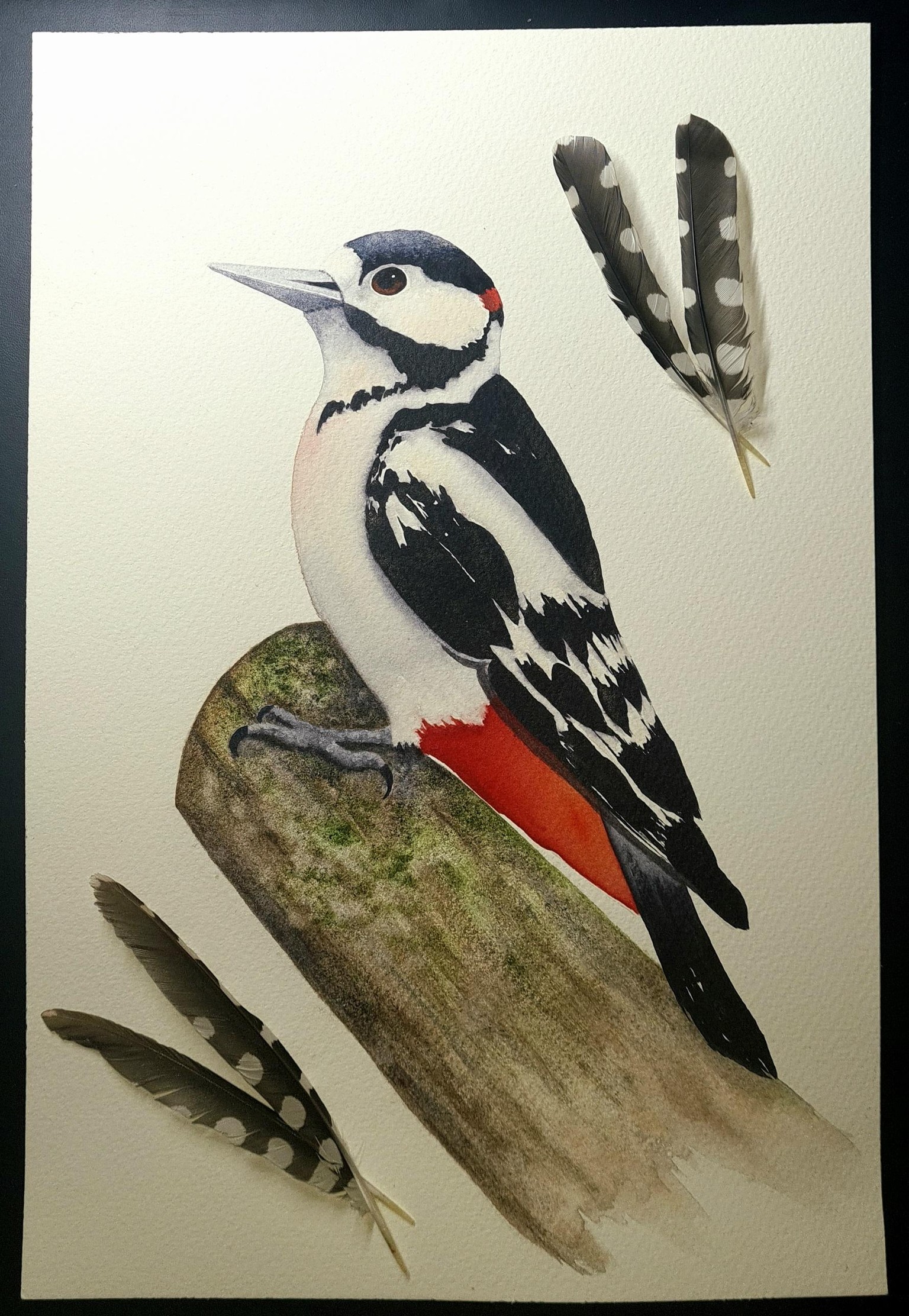 Woodpecker - image 1 - student project