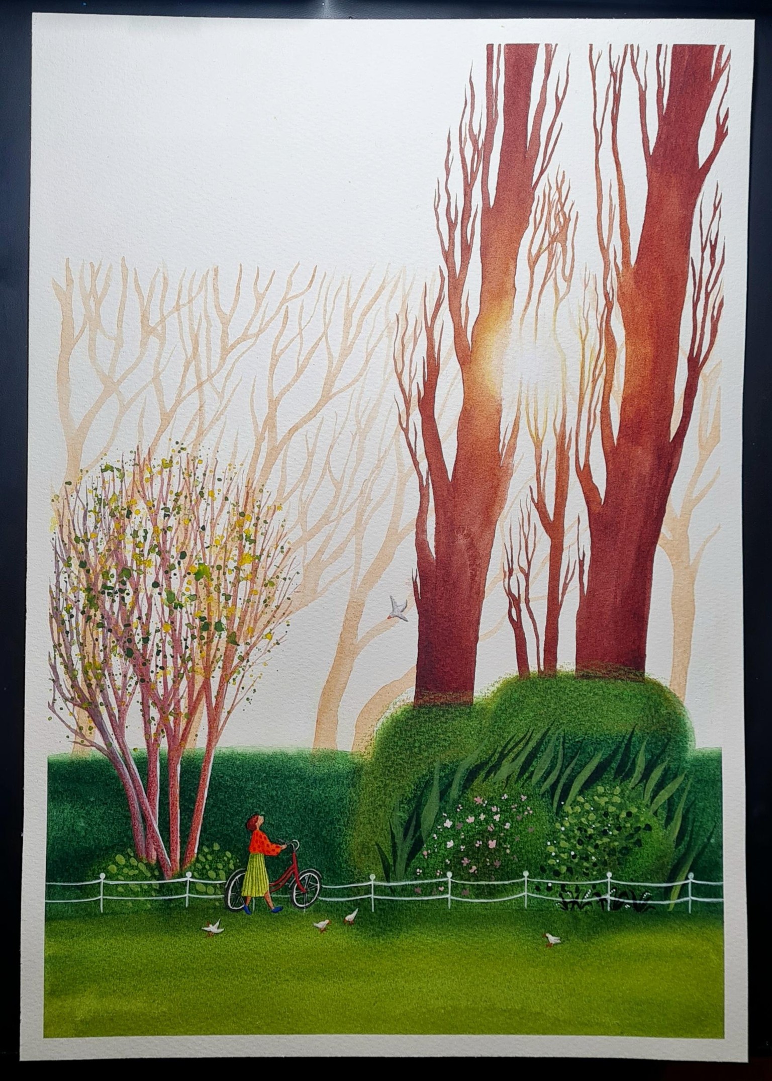 Shining Illustrations - image 1 - student project