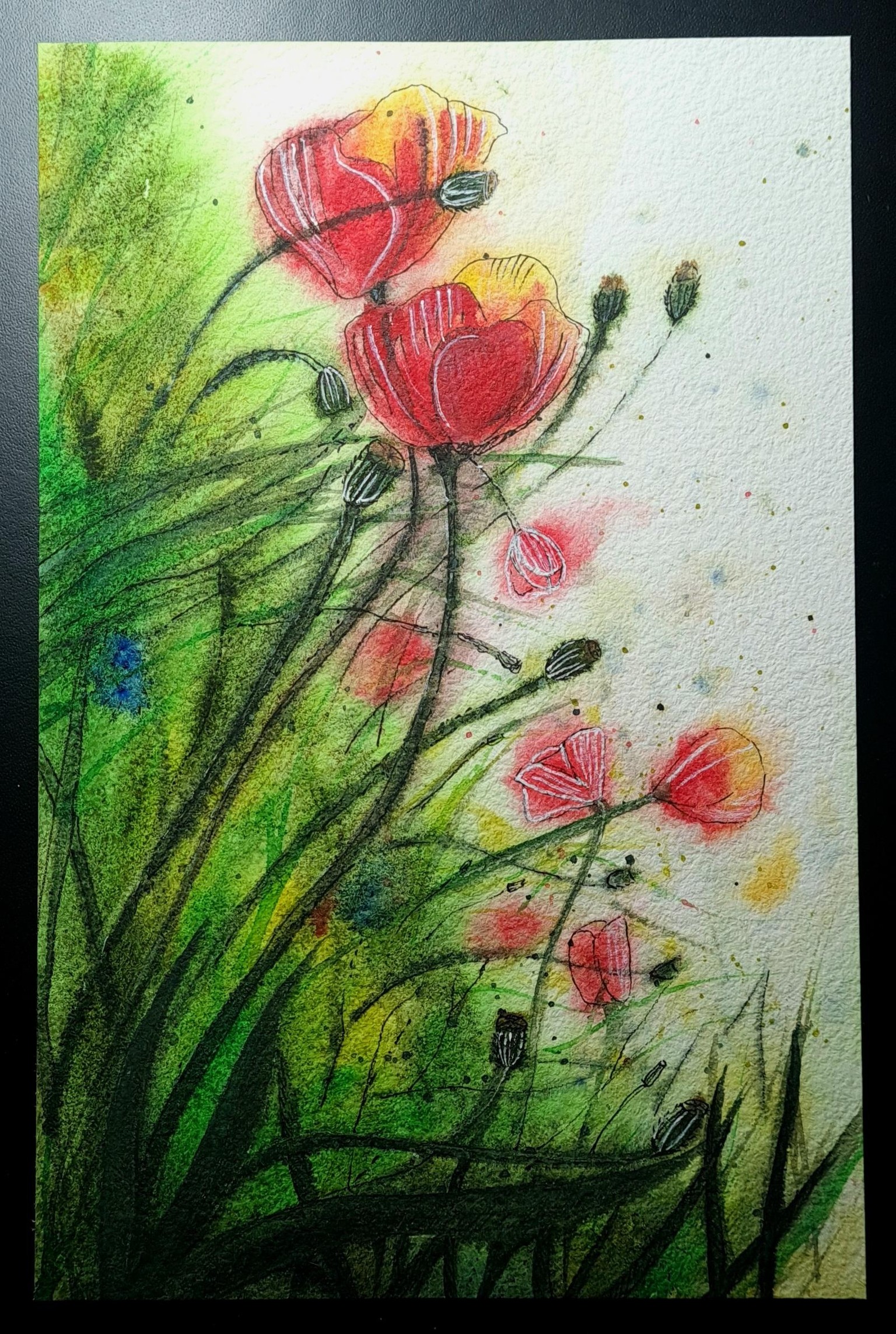 Blossom Lines - image 1 - student project