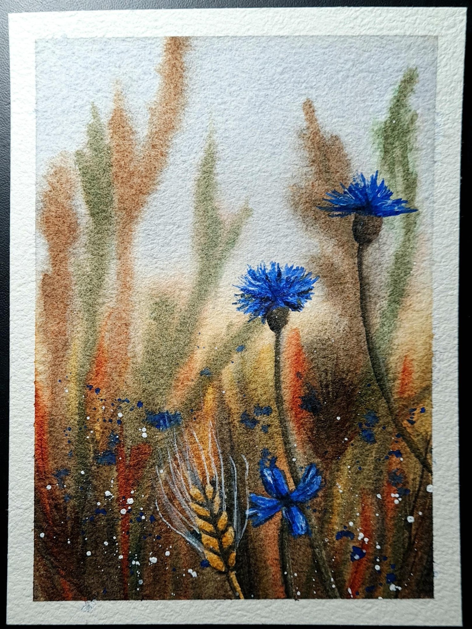 Cornflowers - image 1 - student project