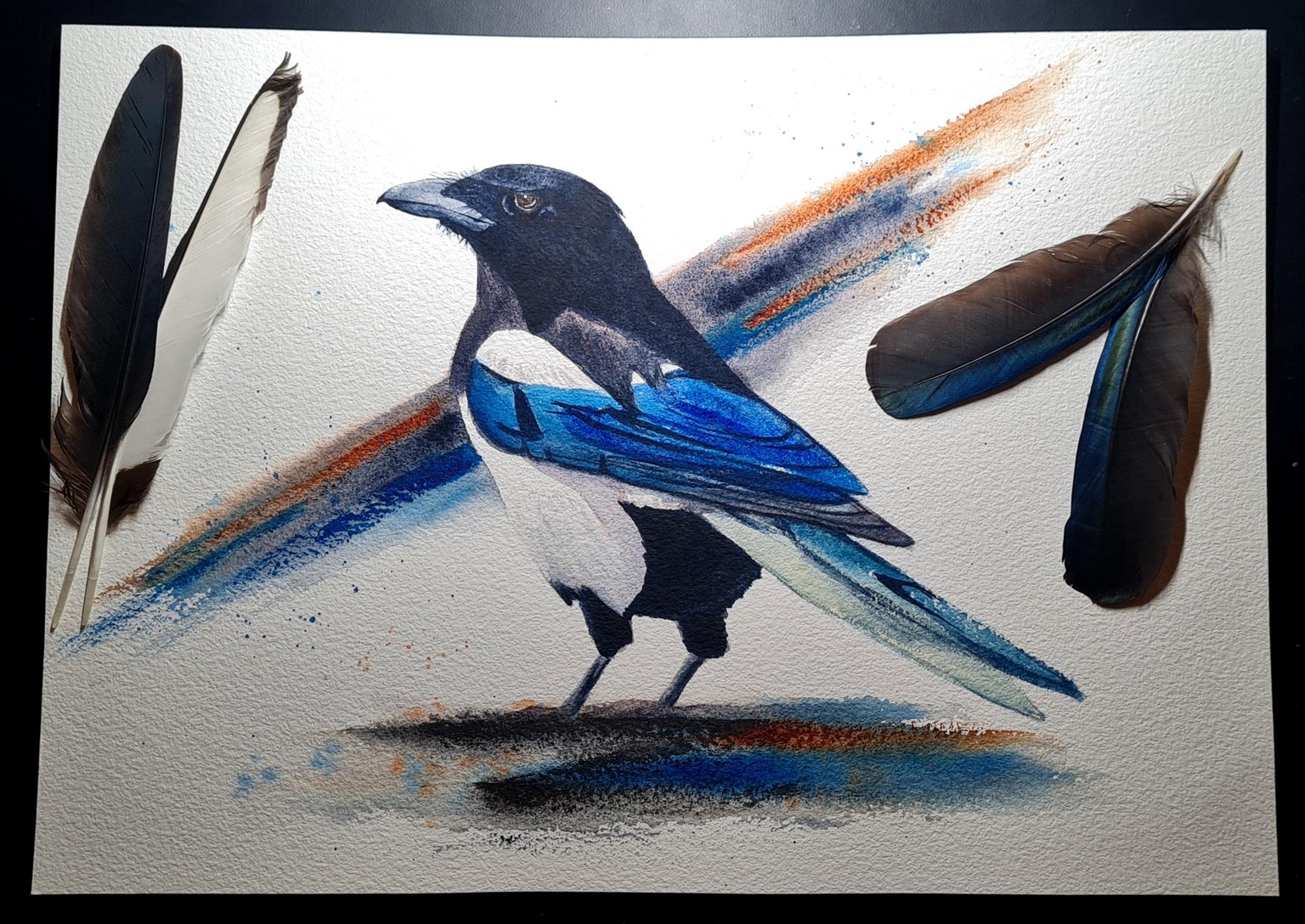 Magpie - image 1 - student project