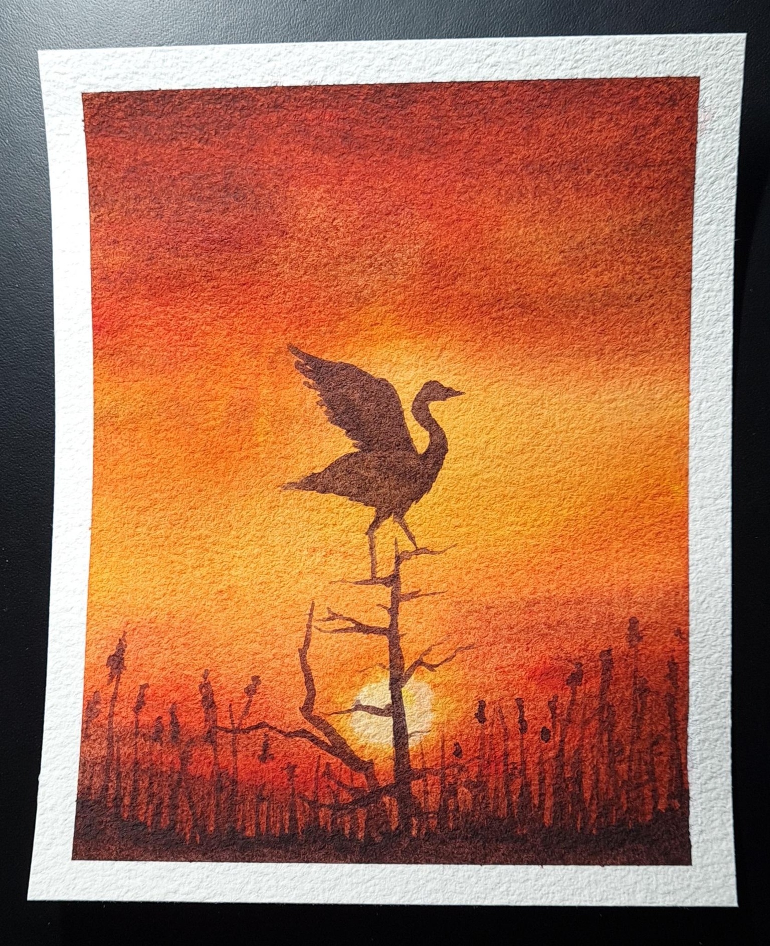 Birds & Silhouettes - image 1 - student project