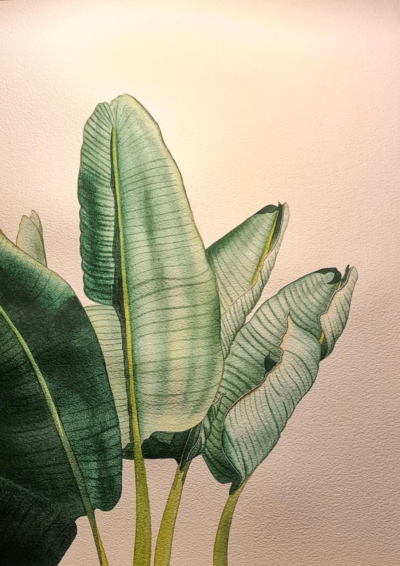Watercolor Botanicals: Play of Sunlight - image 1 - student project