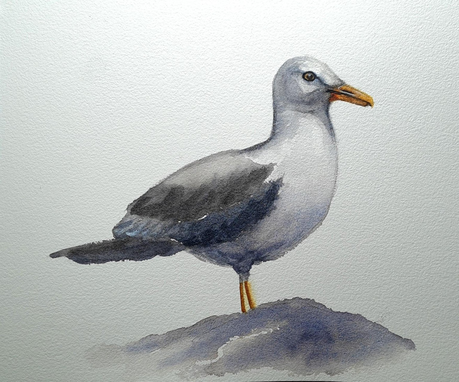 Loose Watercolor Birds - 2 of 3 - image 2 - student project
