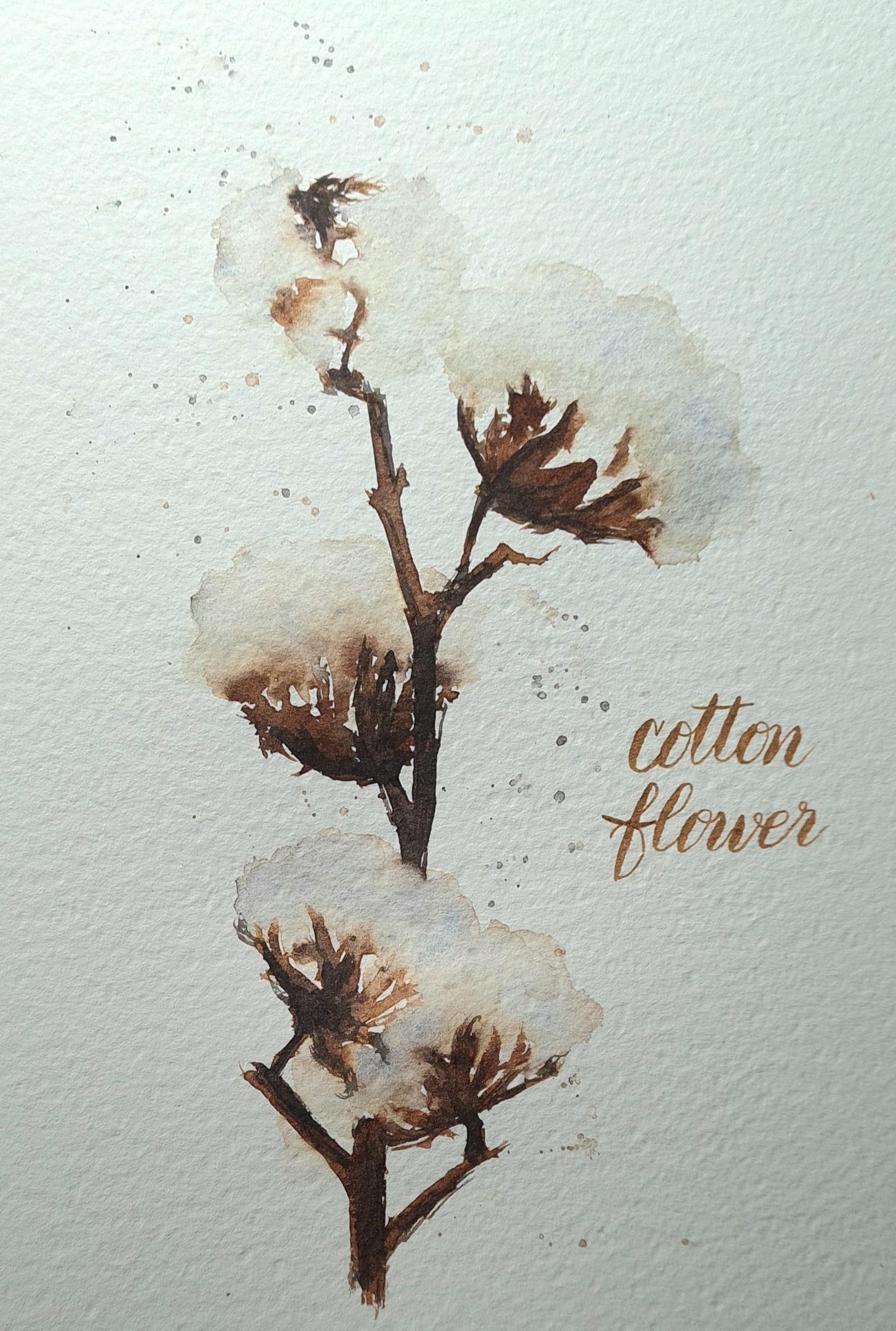 Cotton Flower - image 1 - student project
