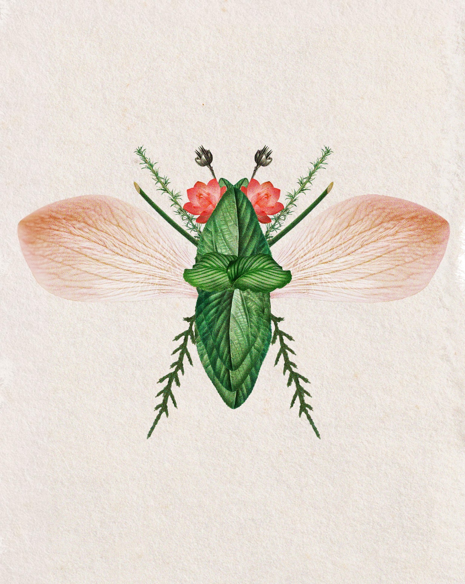 borboleta - image 2 - student project