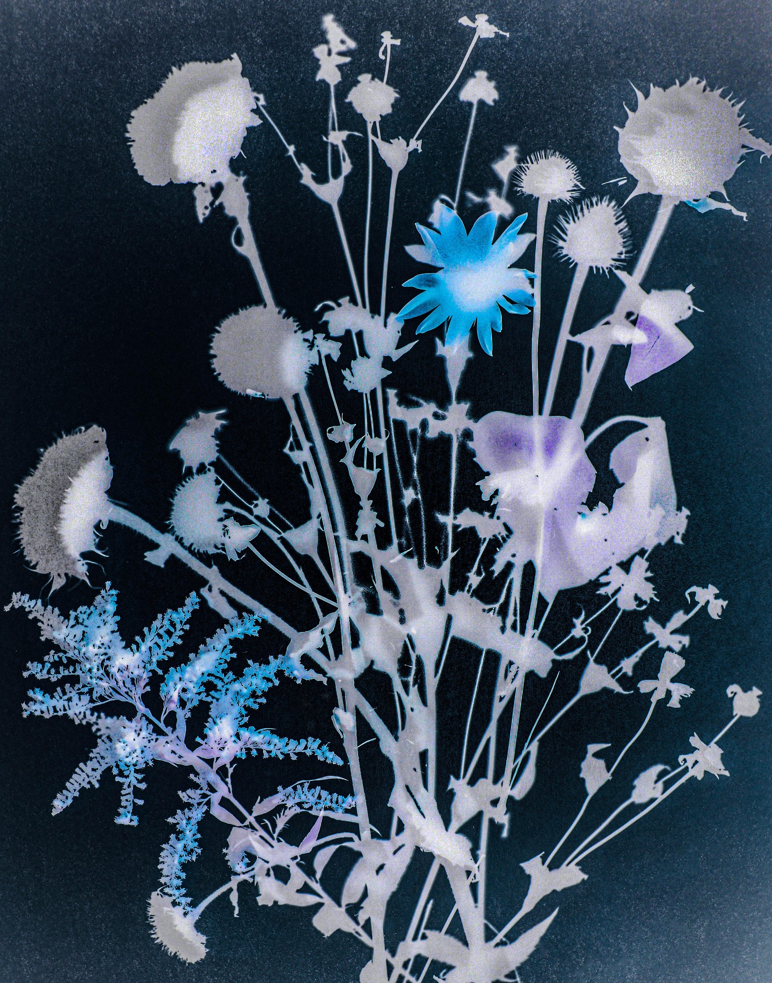 Photogram set up. - image 6 - student project