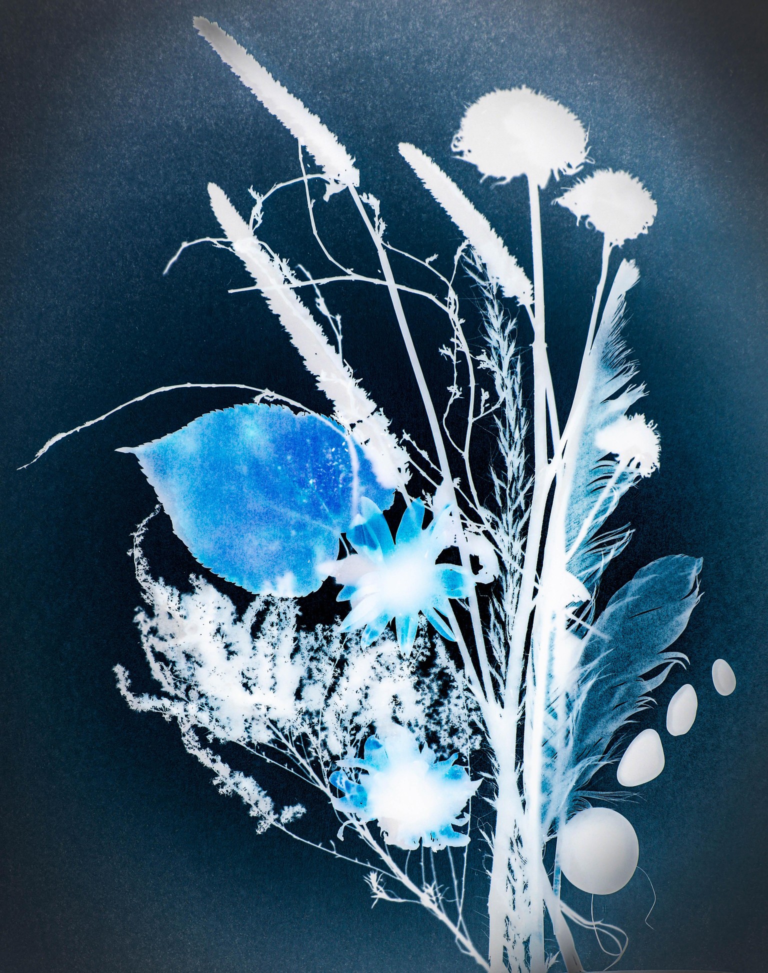 Photogram set up. - image 2 - student project