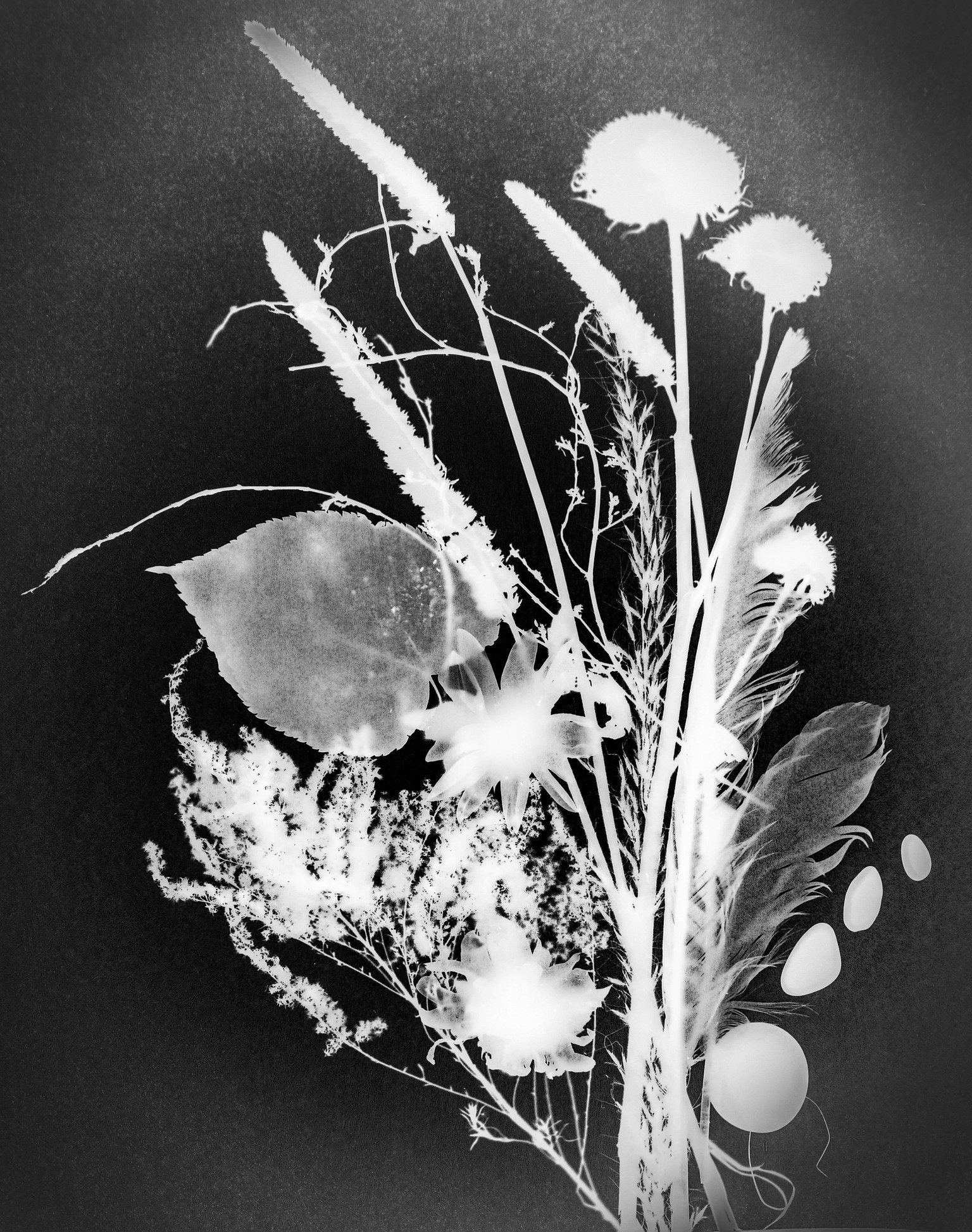 Photogram set up. - image 1 - student project