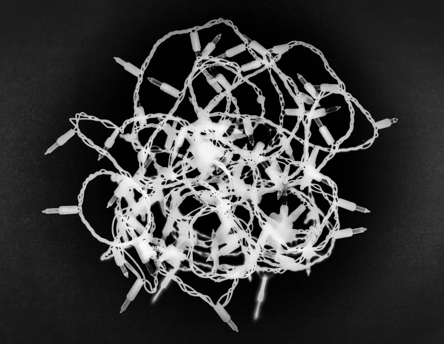 Photogram set up. - image 3 - student project