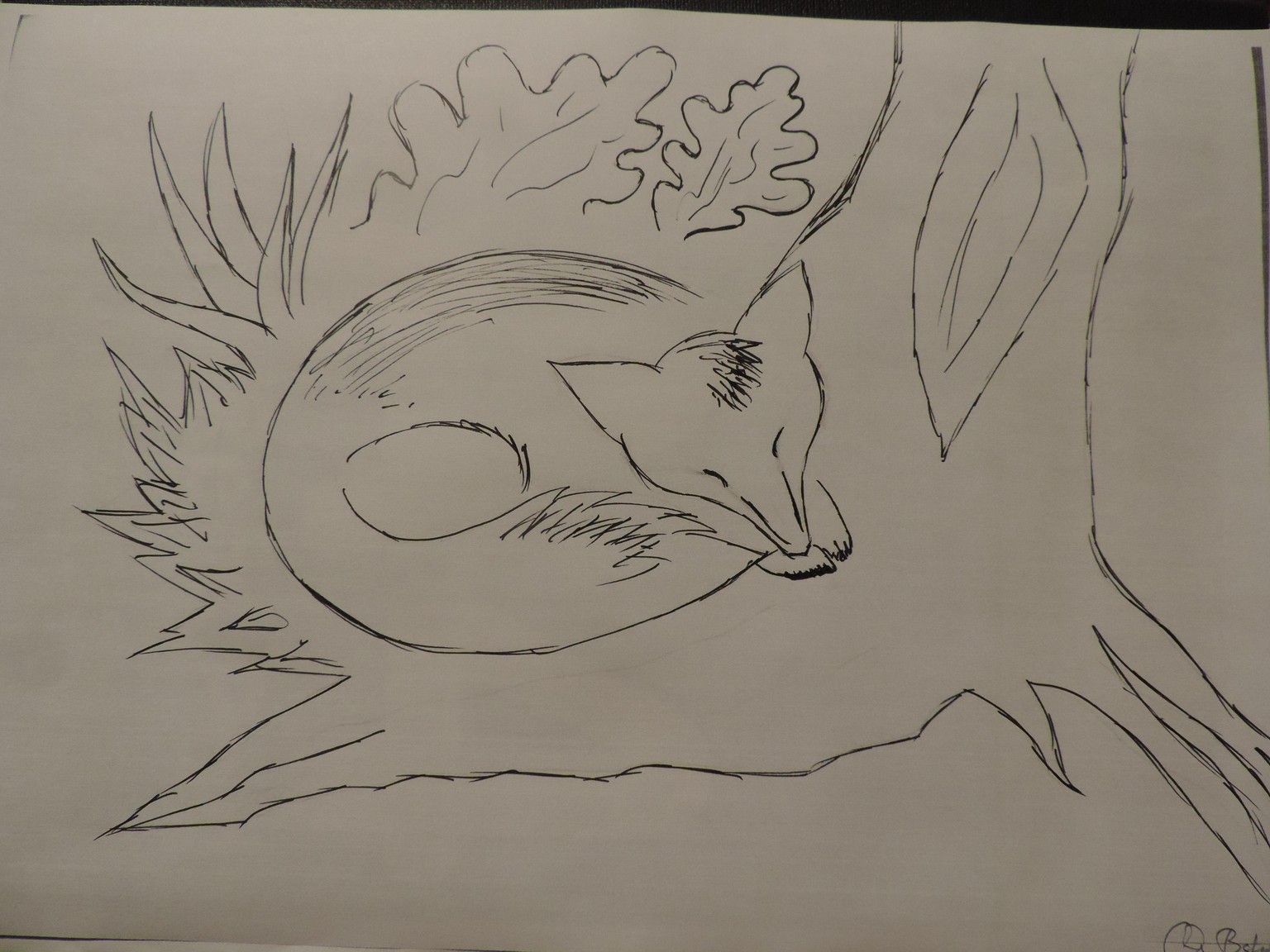 Foxes from illustration to Lino Print - image 4 - student project