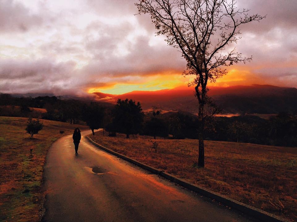 iPhone Landscape Photos - image 7 - student project