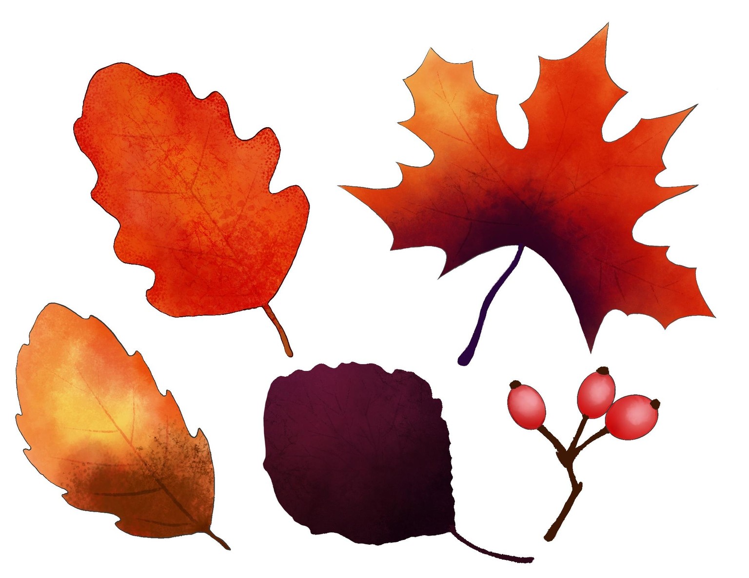 Autumn Leaves - image 2 - student project