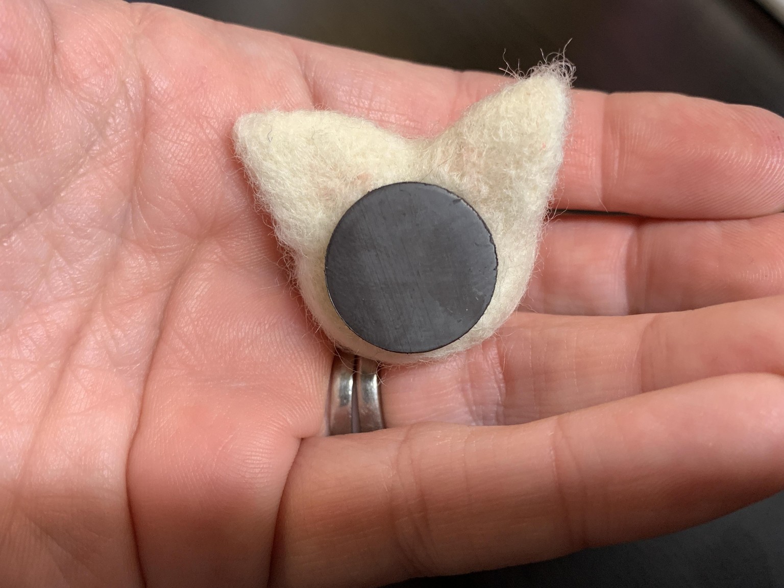 Pig Magnet - image 2 - student project