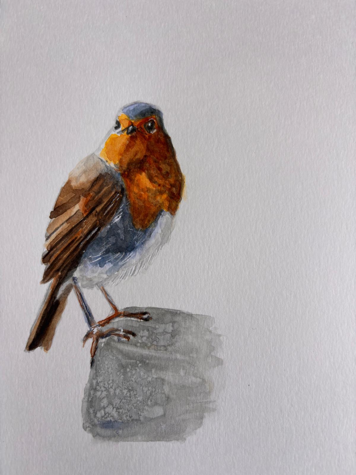 Some birds - image 1 - student project