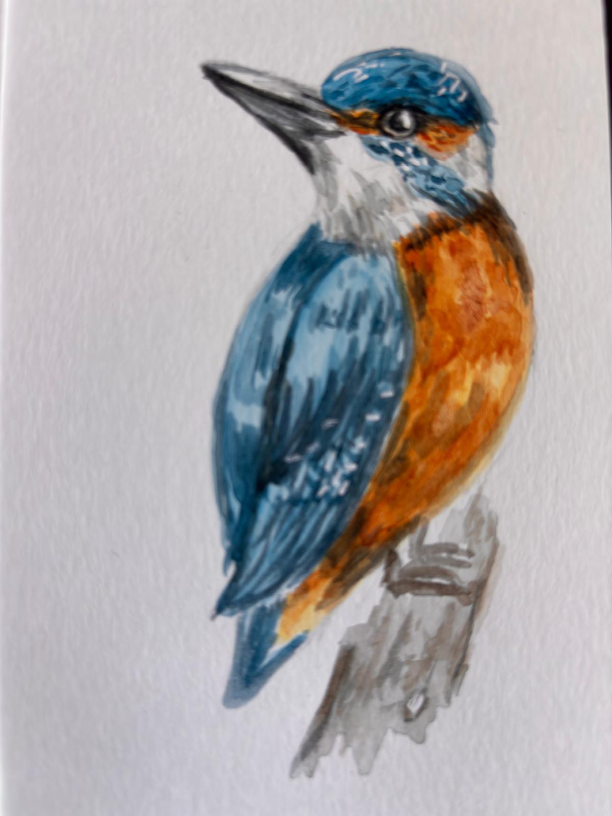 Some birds - image 3 - student project