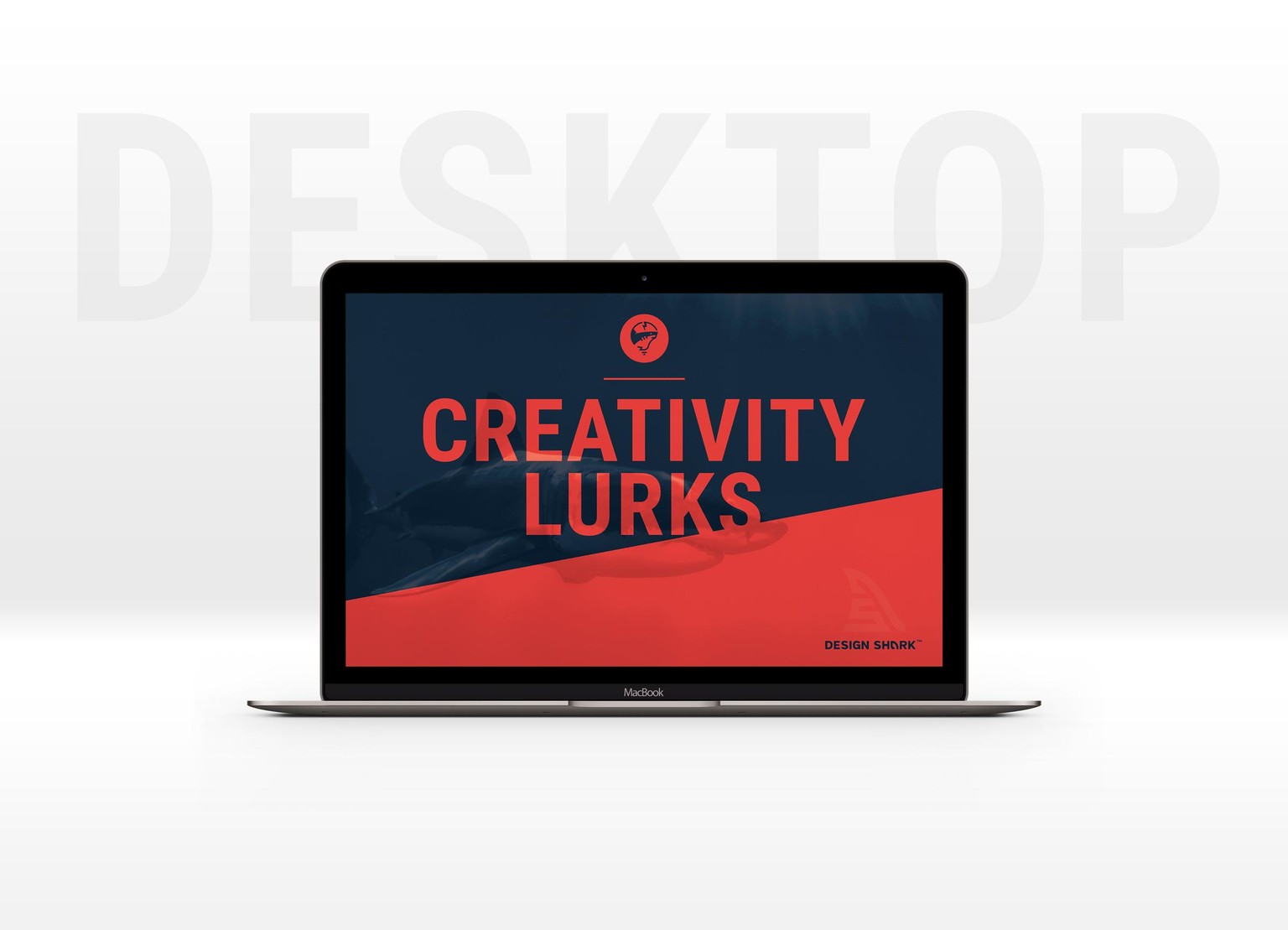 Design Shark