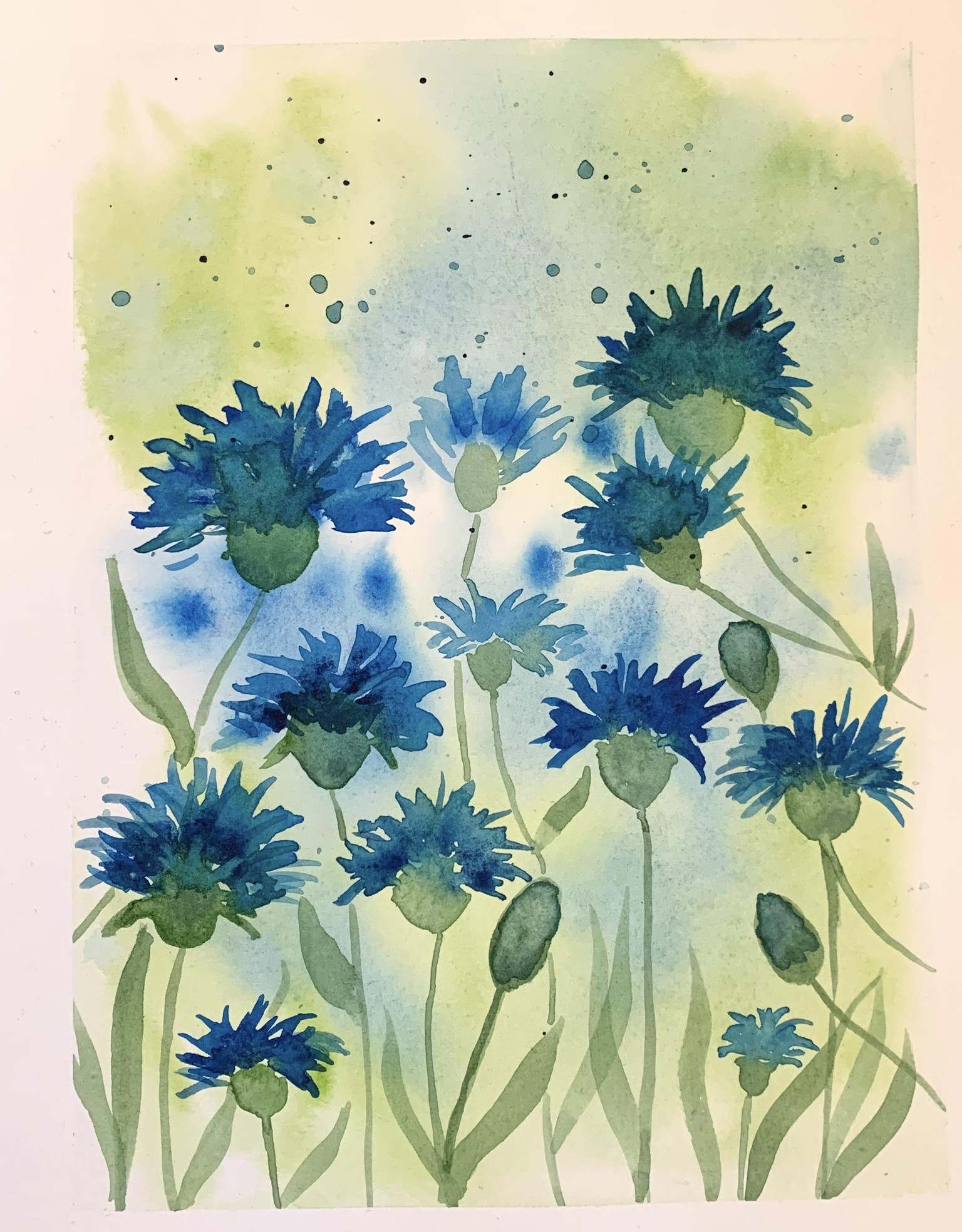 Soft meadows - image 3 - student project