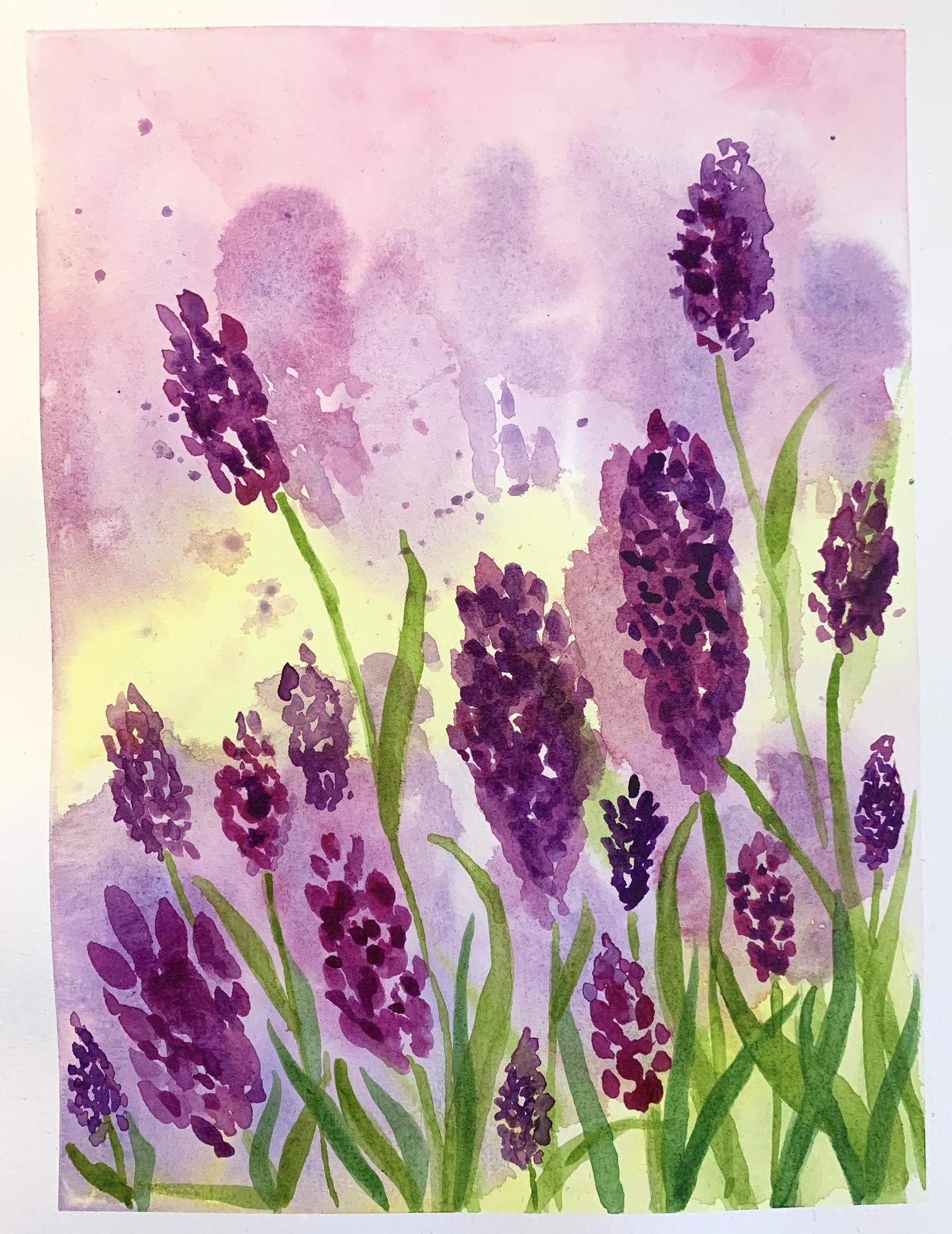 Soft meadows - image 2 - student project