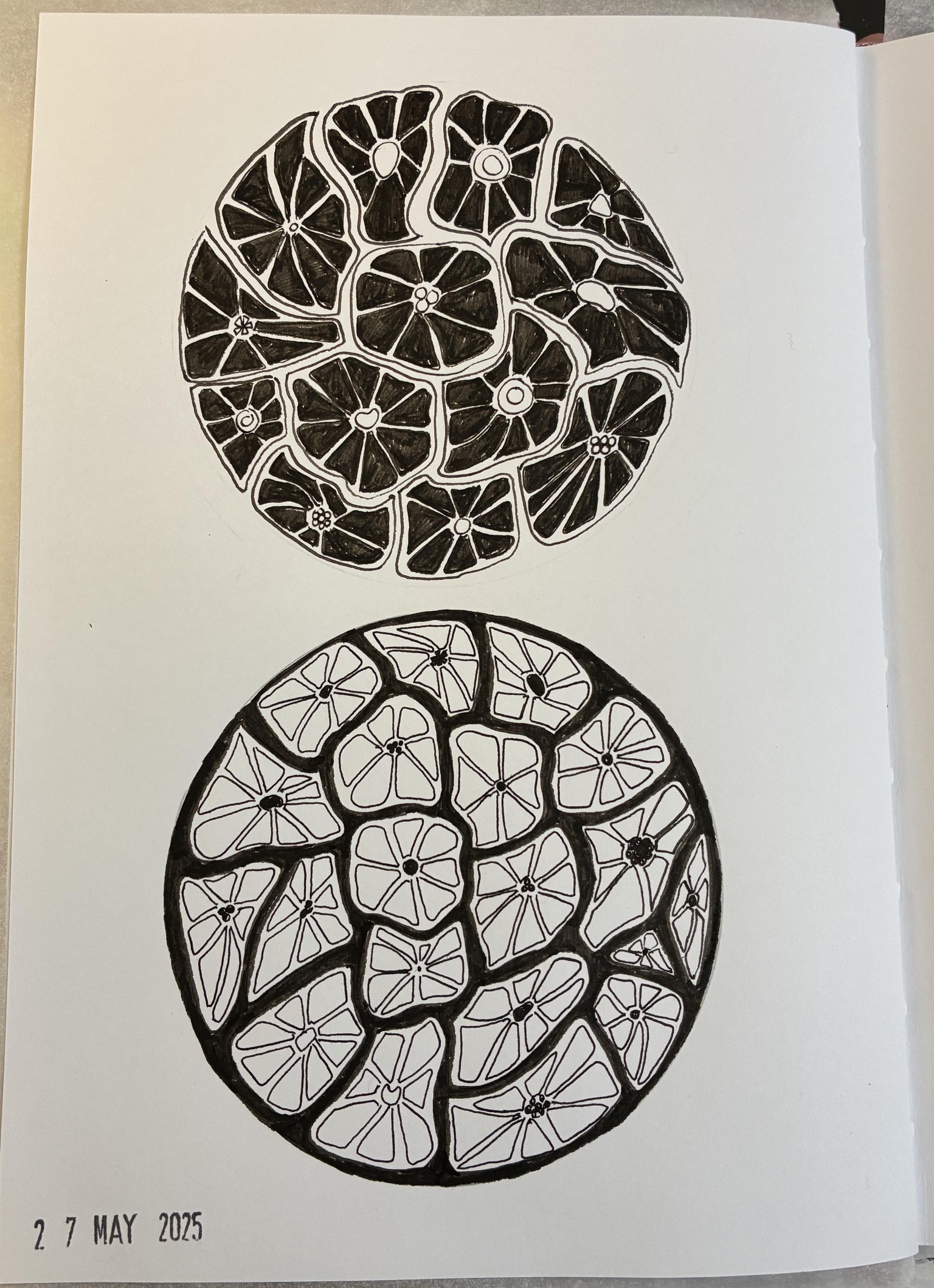 Fantasy florals - image 1 - student project
