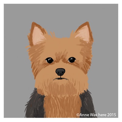 All About That Fluff - image 4 - student project