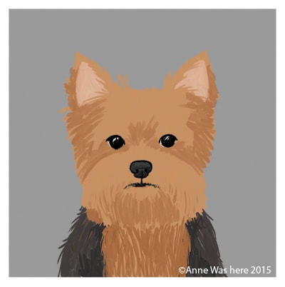 All About That Fluff - image 3 - student project