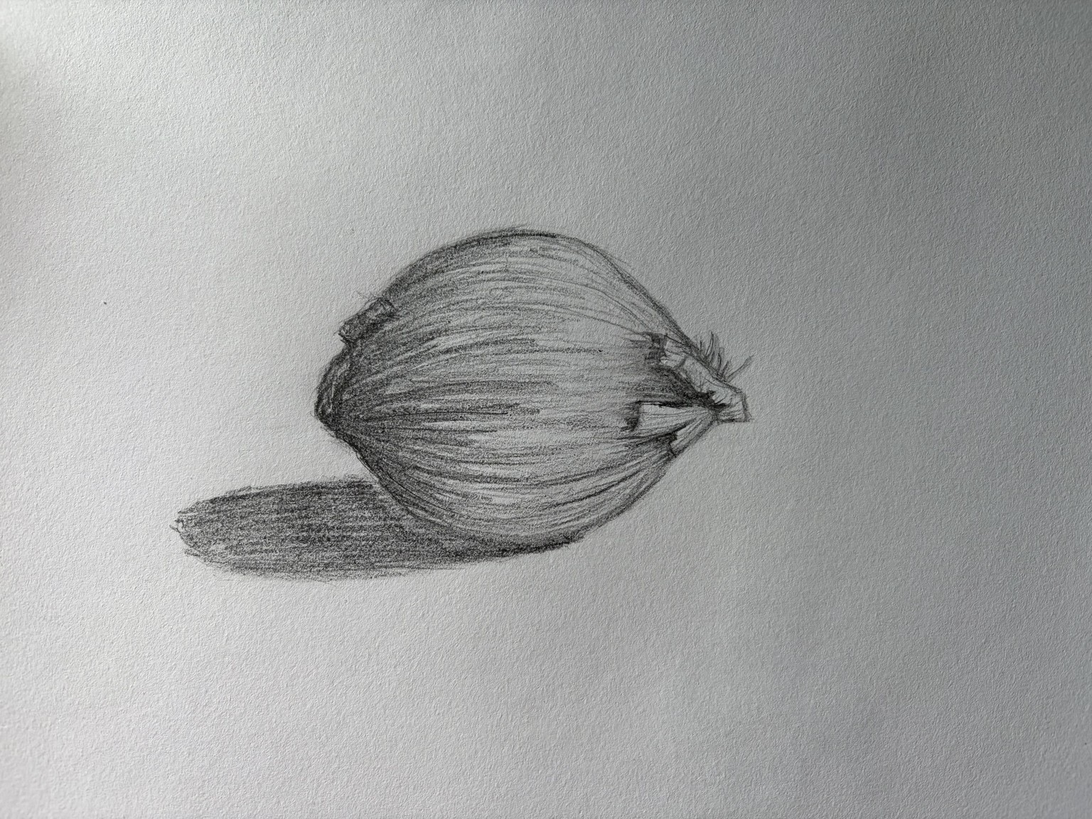 Onion and drapery shading - image 1 - student project