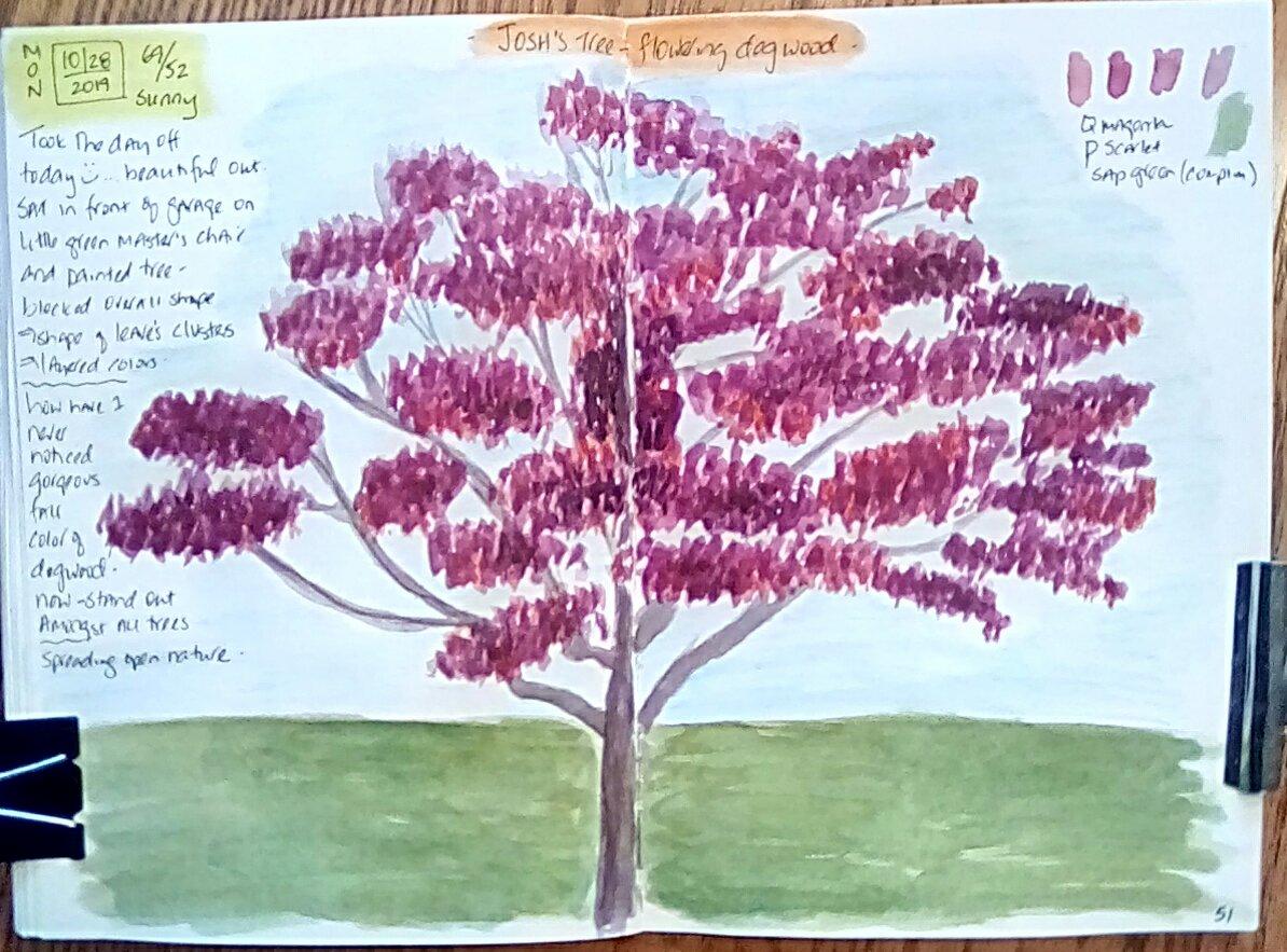 My Autumn nature journal pages - image 5 - student project