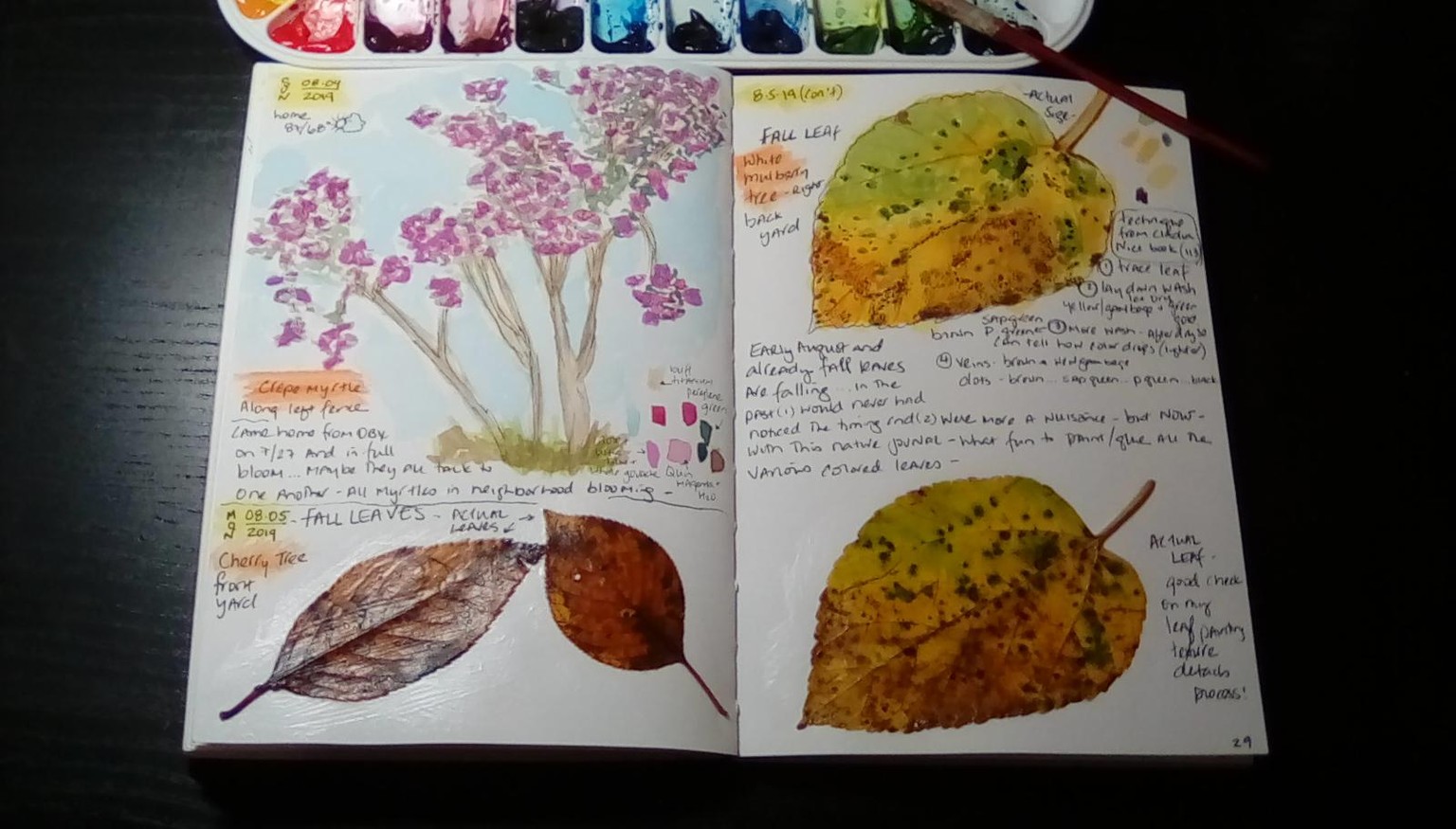 Spring (and summer) pages - image 2 - student project