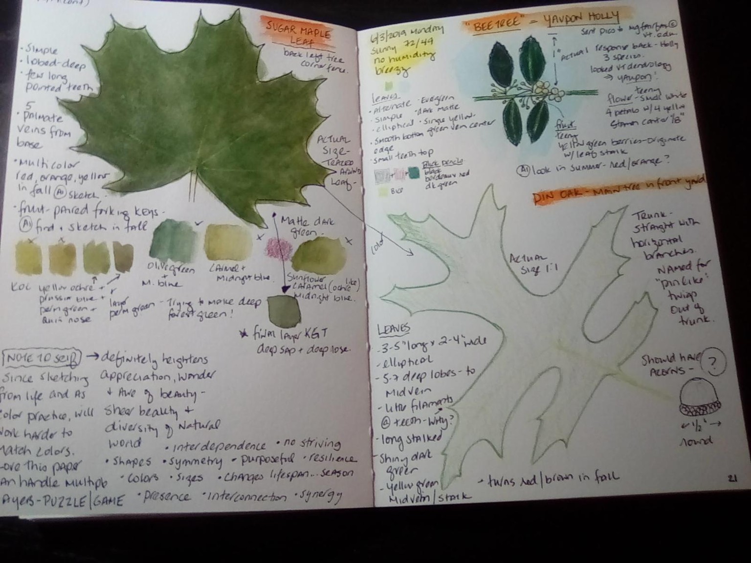 Spring (and summer) pages - image 5 - student project
