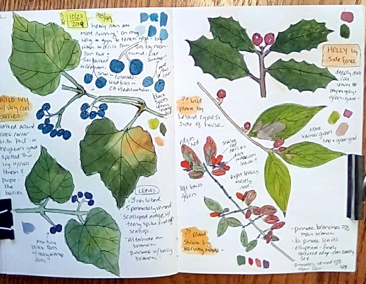 My Autumn nature journal pages - image 4 - student project