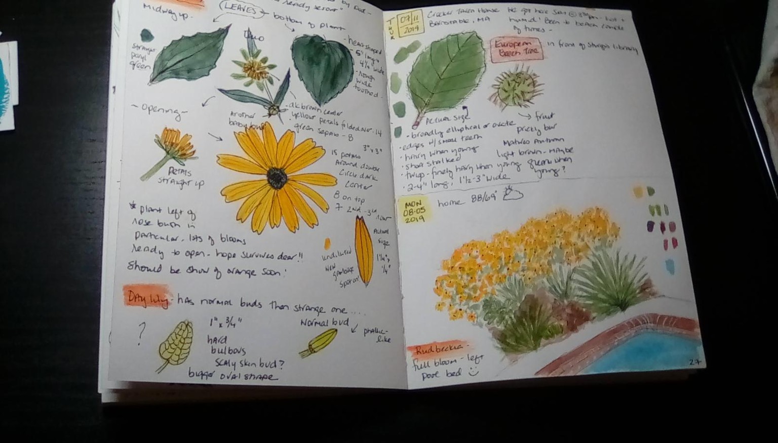 Spring (and summer) pages - image 1 - student project