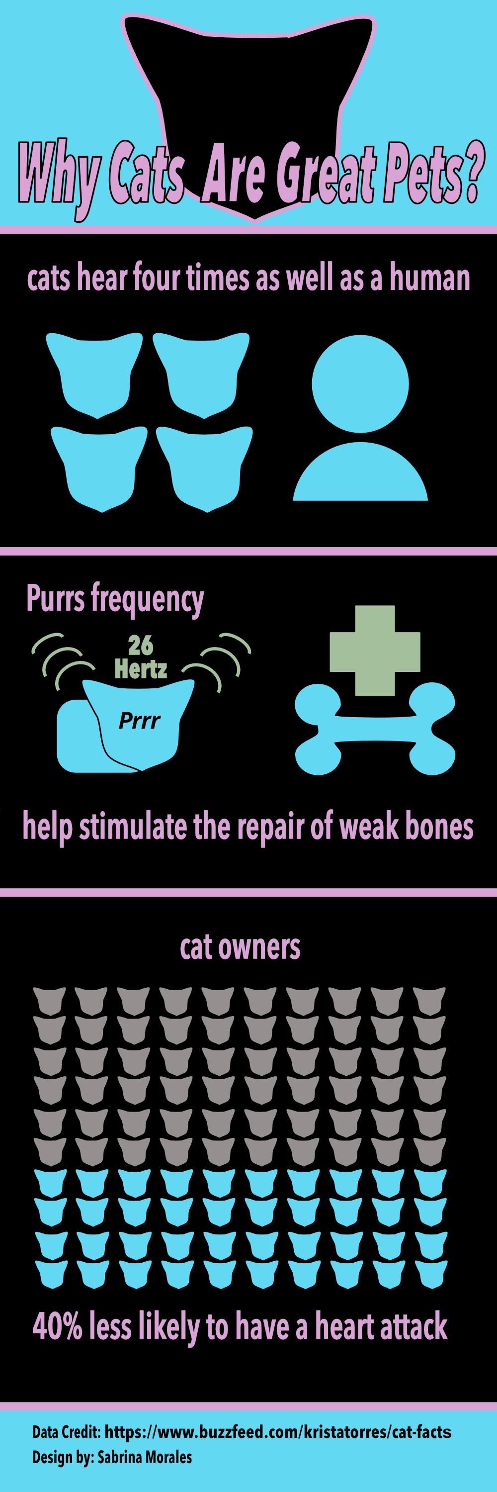 Infographic - image 6 - student project