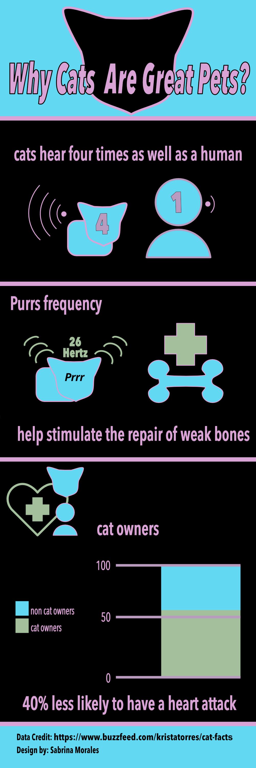Infographic - image 7 - student project