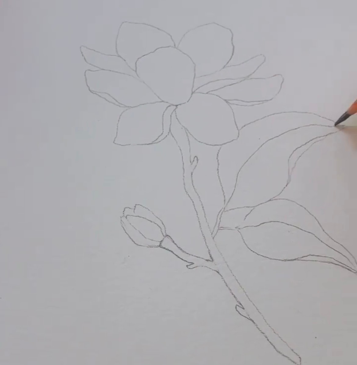 Sample Project: Dark watercolor backgrounds - image 1 - student project