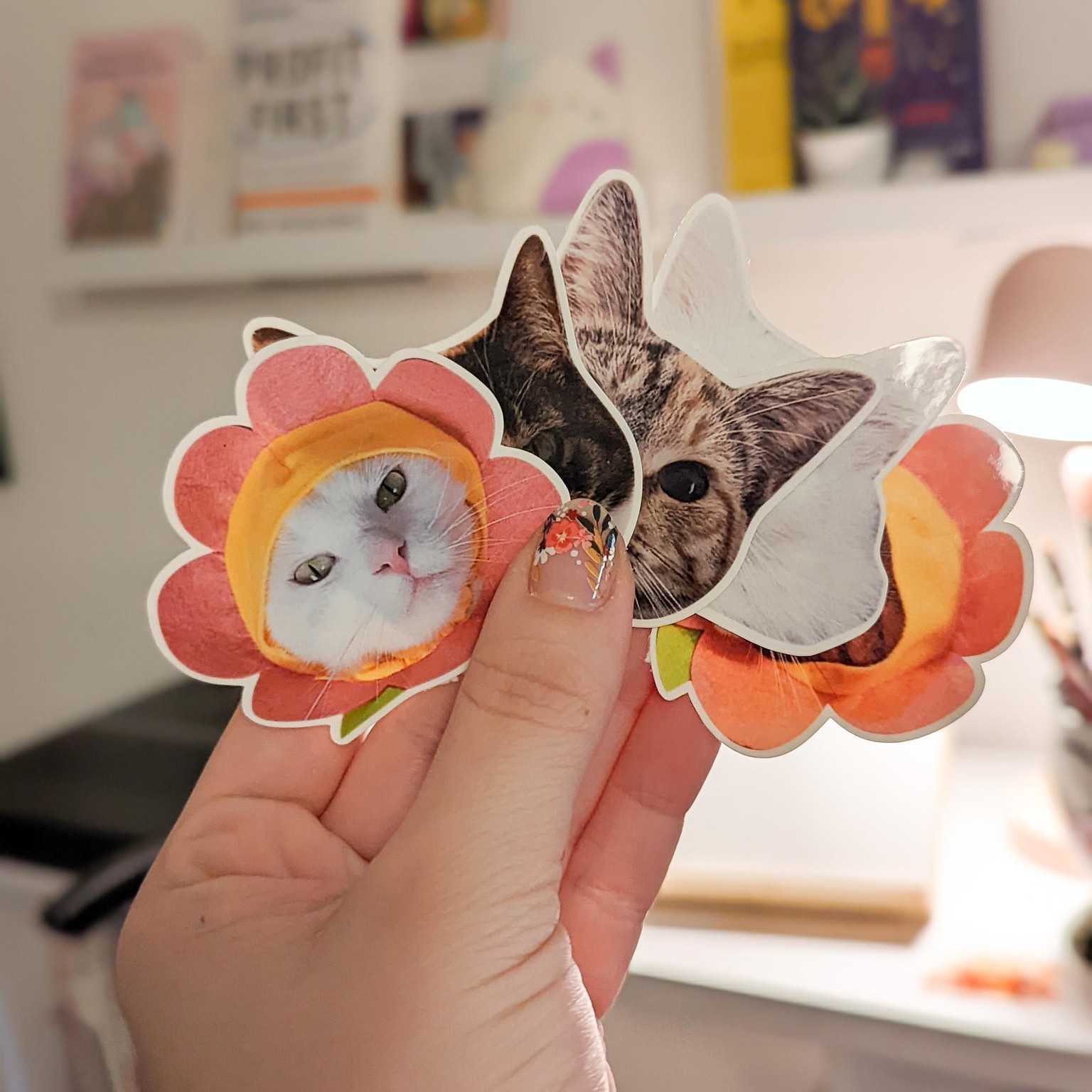 Cat Photo Stickers - image 1 - student project