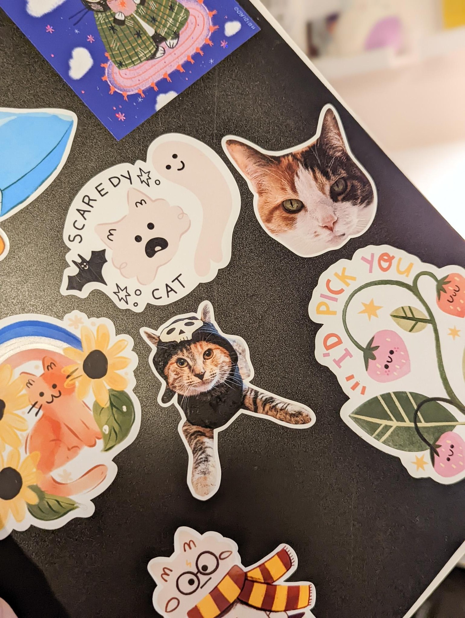 Cat Photo Stickers - image 3 - student project
