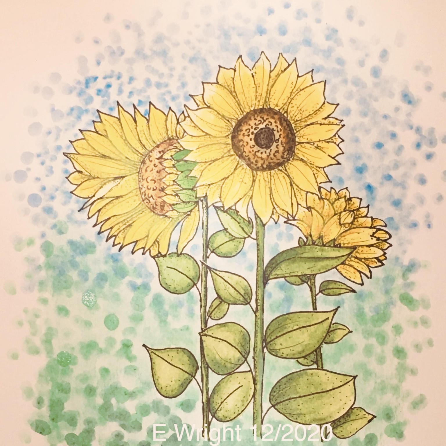 Fun with Sunflowers - image 1 - student project