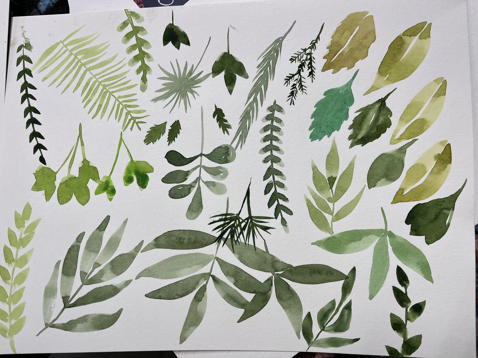 Lots of Leaves - image 2 - student project