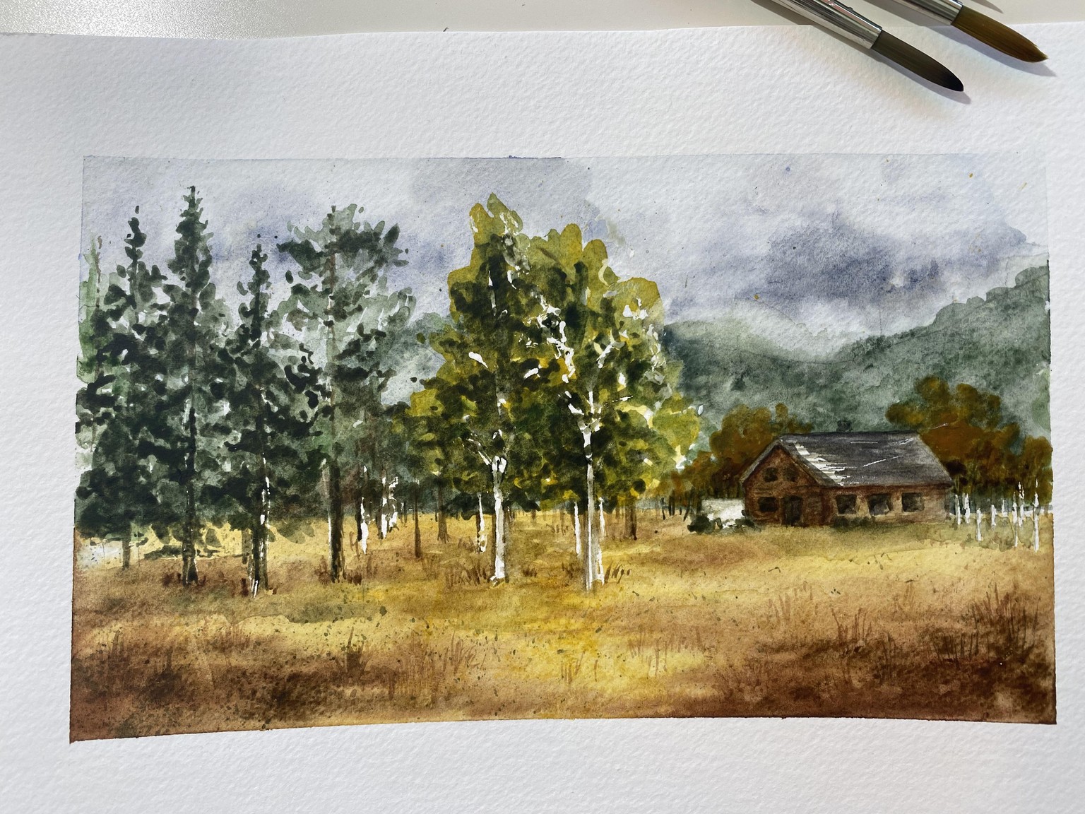 Watercolor Landscape Practice - image 1 - student project