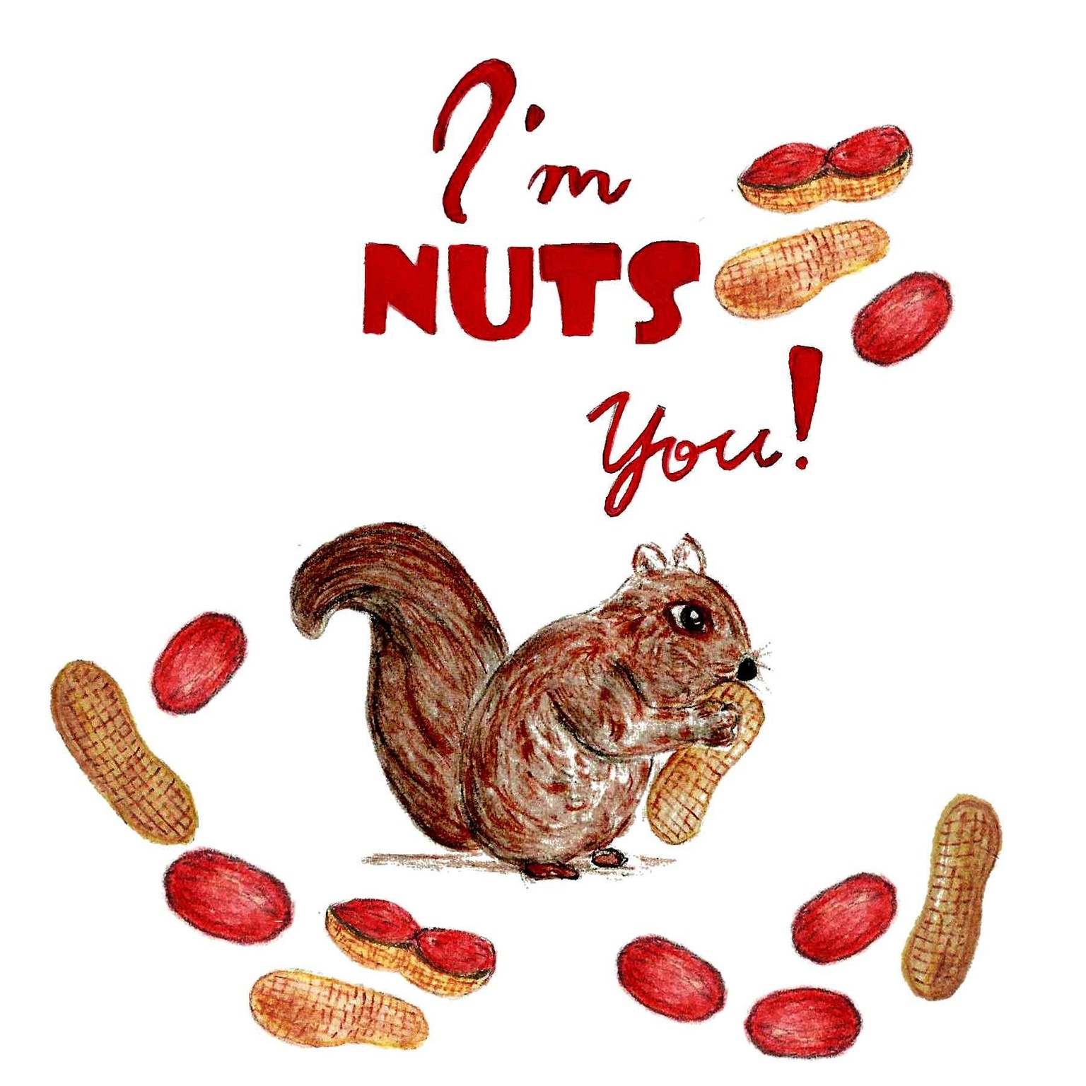 I'm Nuts About You!! - image 1 - student project
