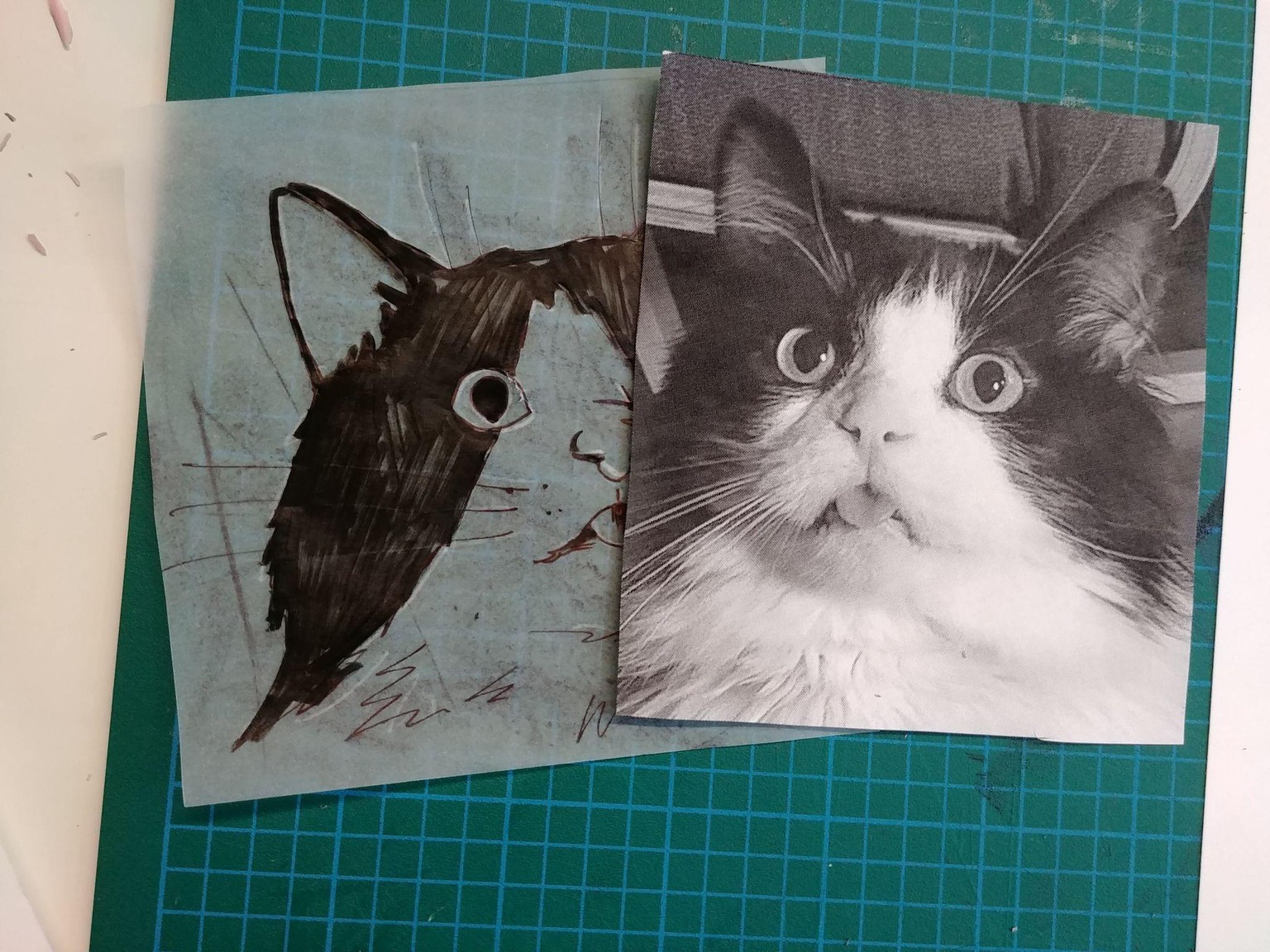 Oliver - image 1 - student project