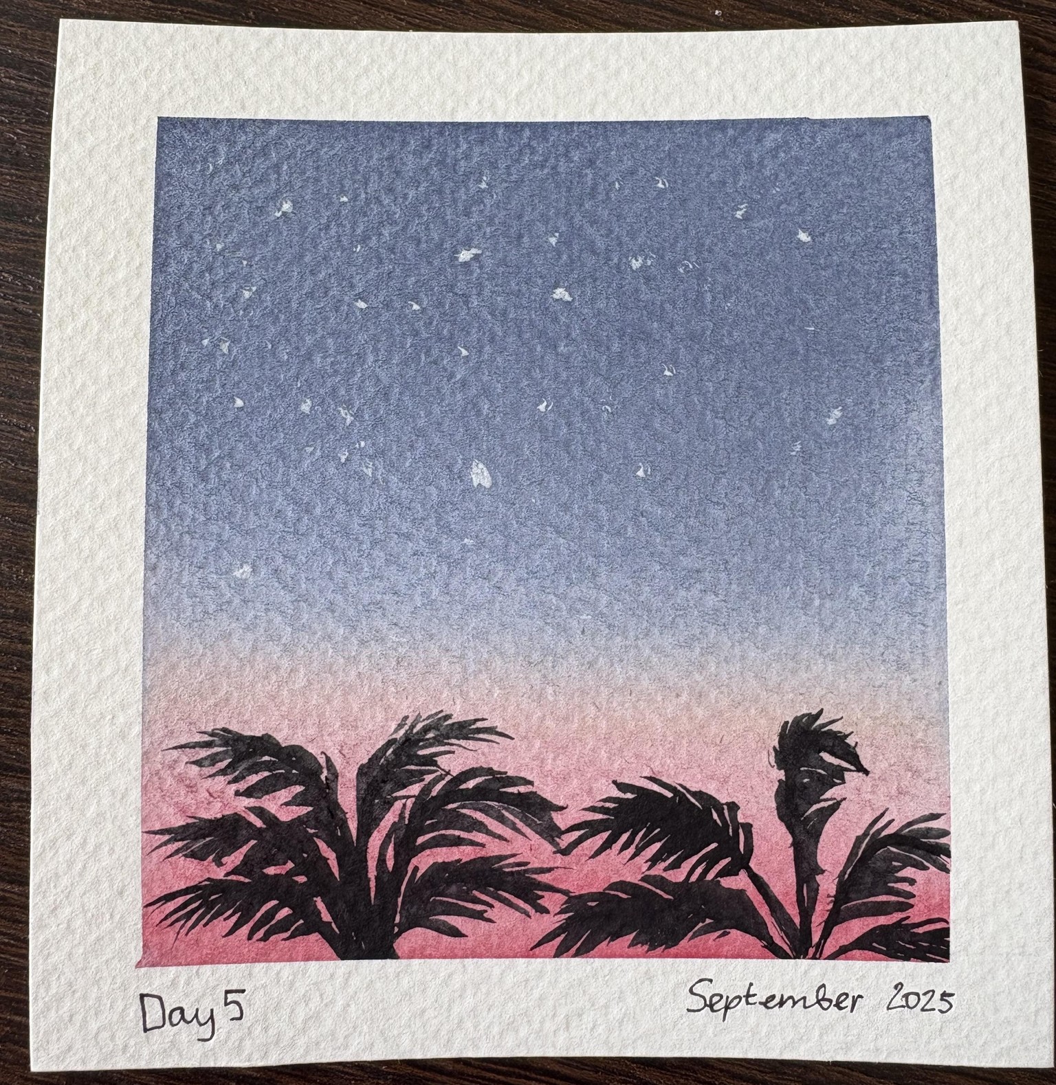 Summer polaroids - image 5 - student project