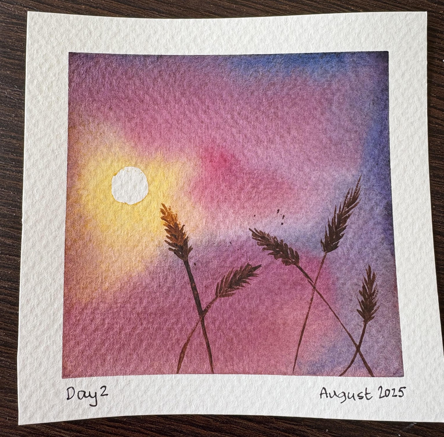 Summer polaroids - image 2 - student project