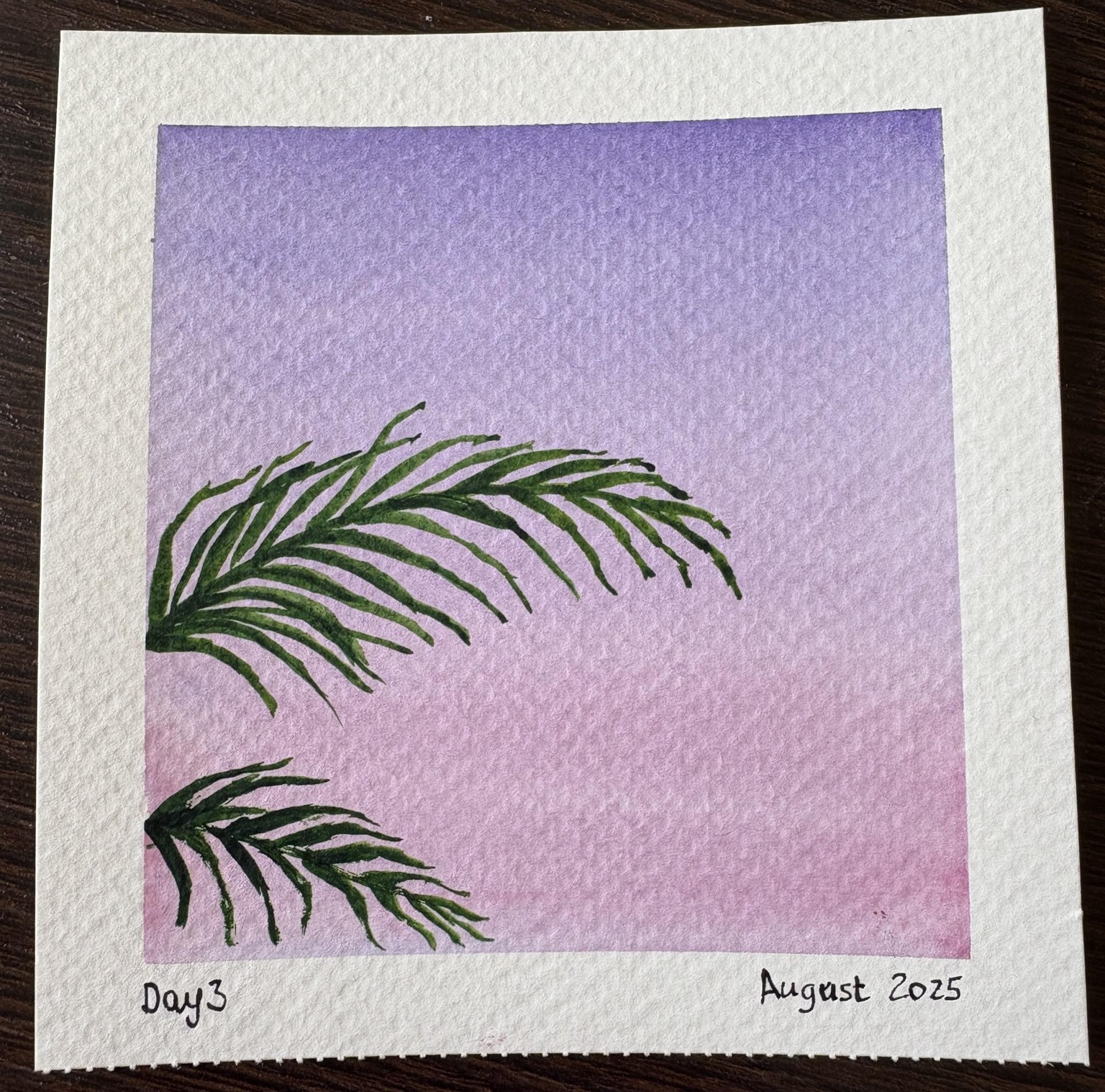 Summer polaroids - image 3 - student project