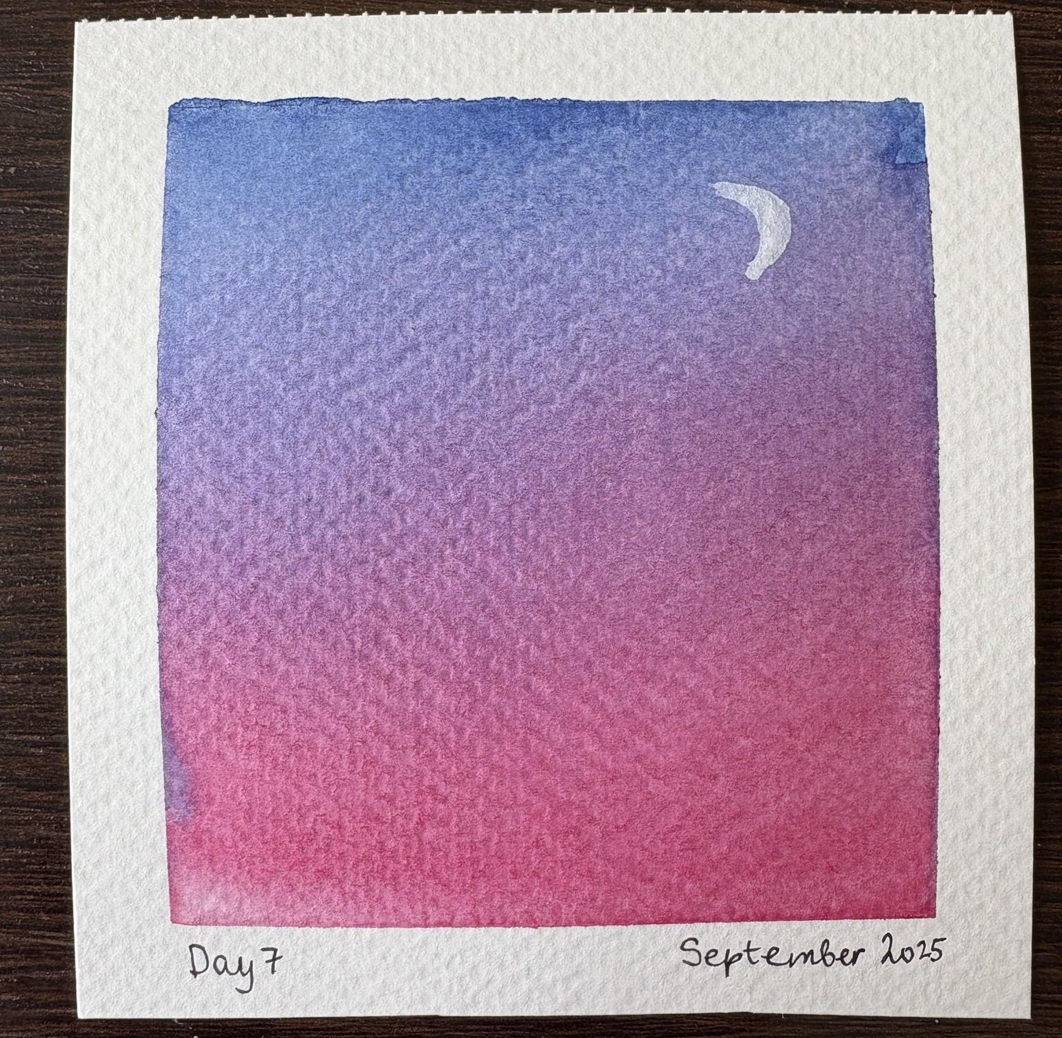 Summer polaroids - image 7 - student project