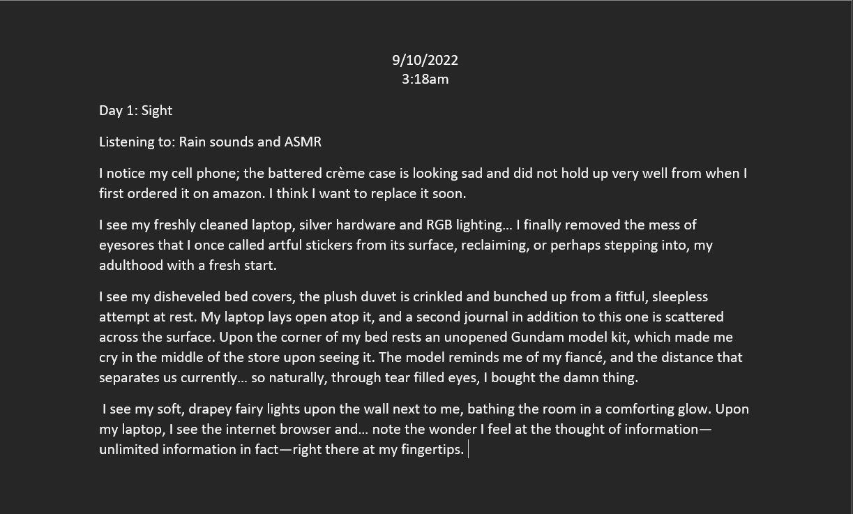 Days 1-5 - image 1 - student project