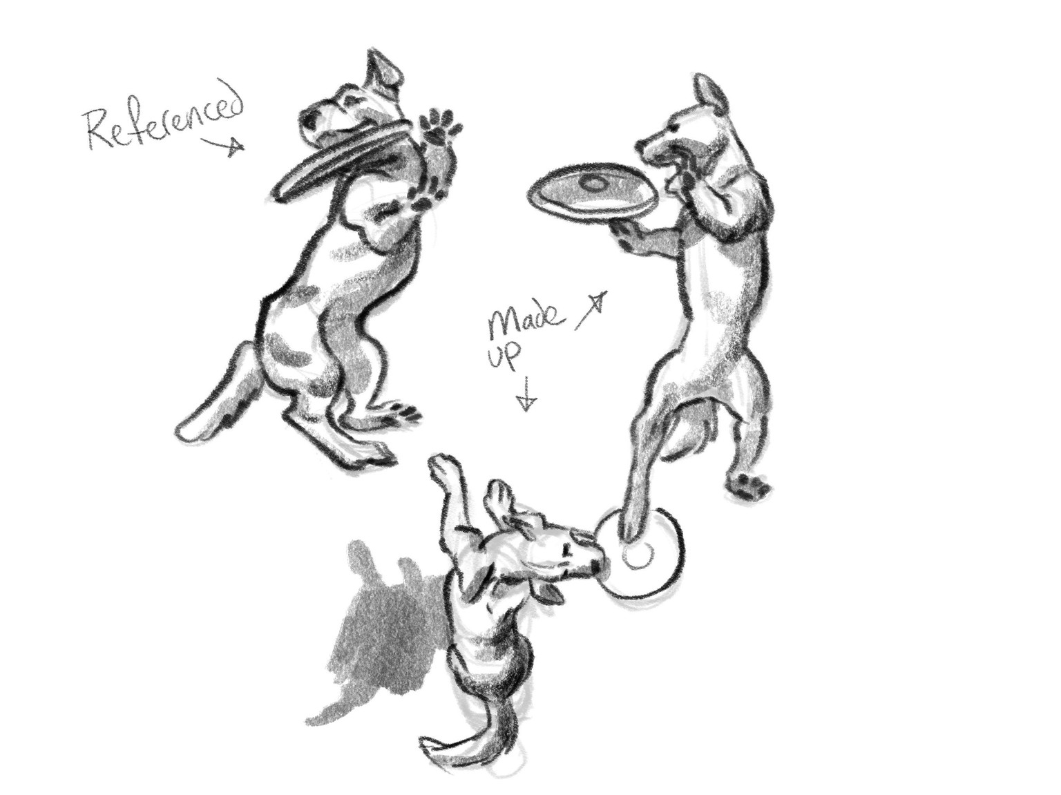 Dogs x3 (1 using reference, the other 2 figured out) - image 2 - student project