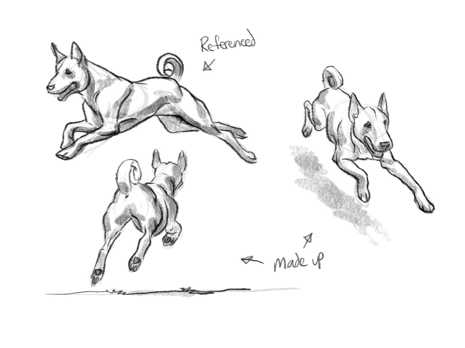 Dogs x3 (1 using reference, the other 2 figured out) - image 5 - student project