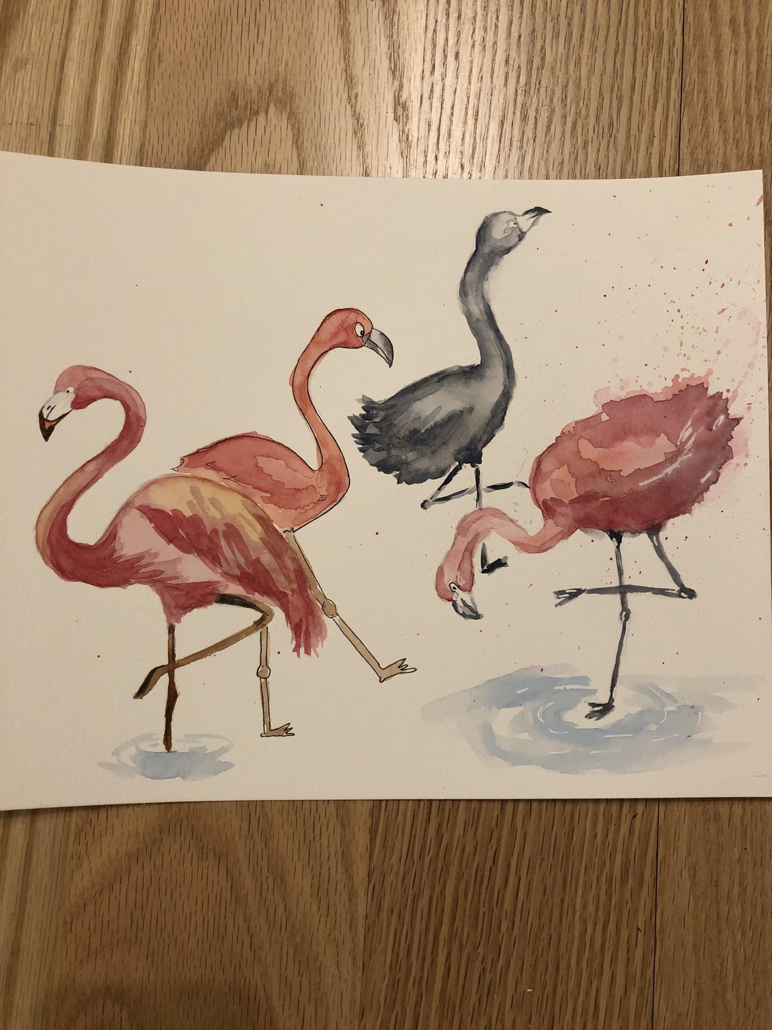 Flamingos, 6 different styles - image 1 - student project